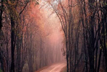 天涯社区地址一二一的秘密探寻