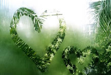 天涯社区和天涯论坛：一个网上的大家庭